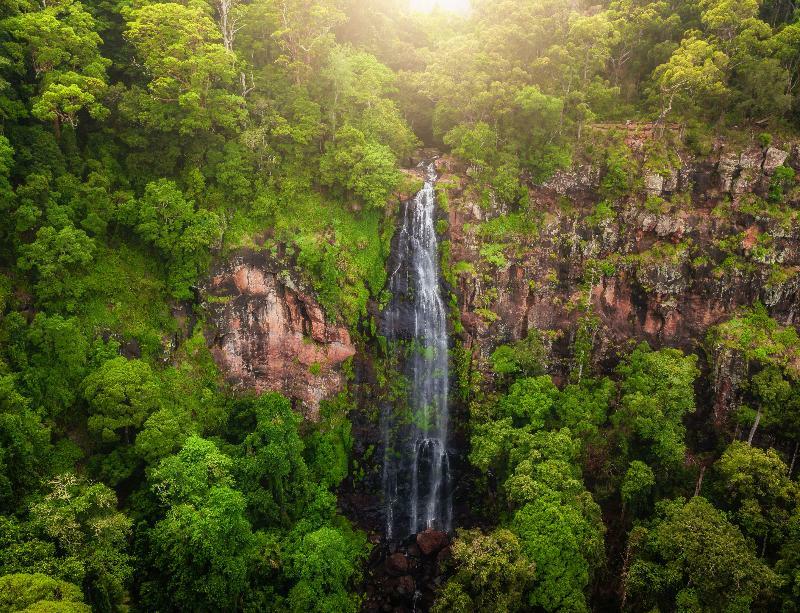 Binna Burra Mountain Lodge Голд-Кост Экстерьер фото
